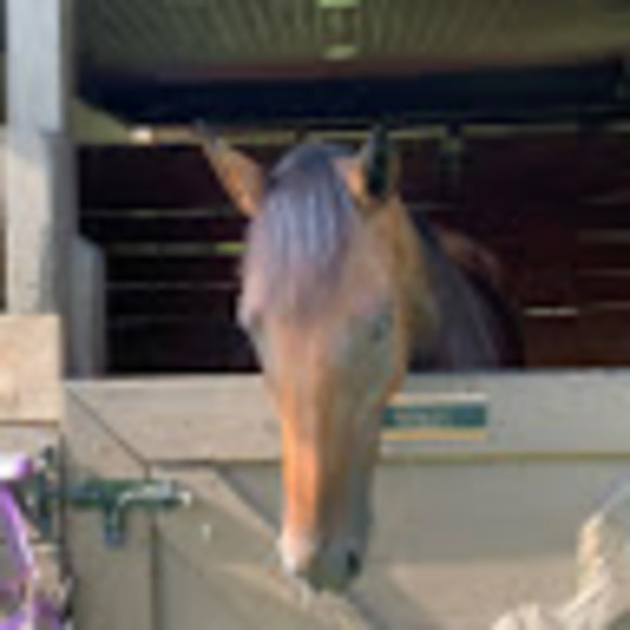 Meet your Posher, Deborah - Picture 1 of 1